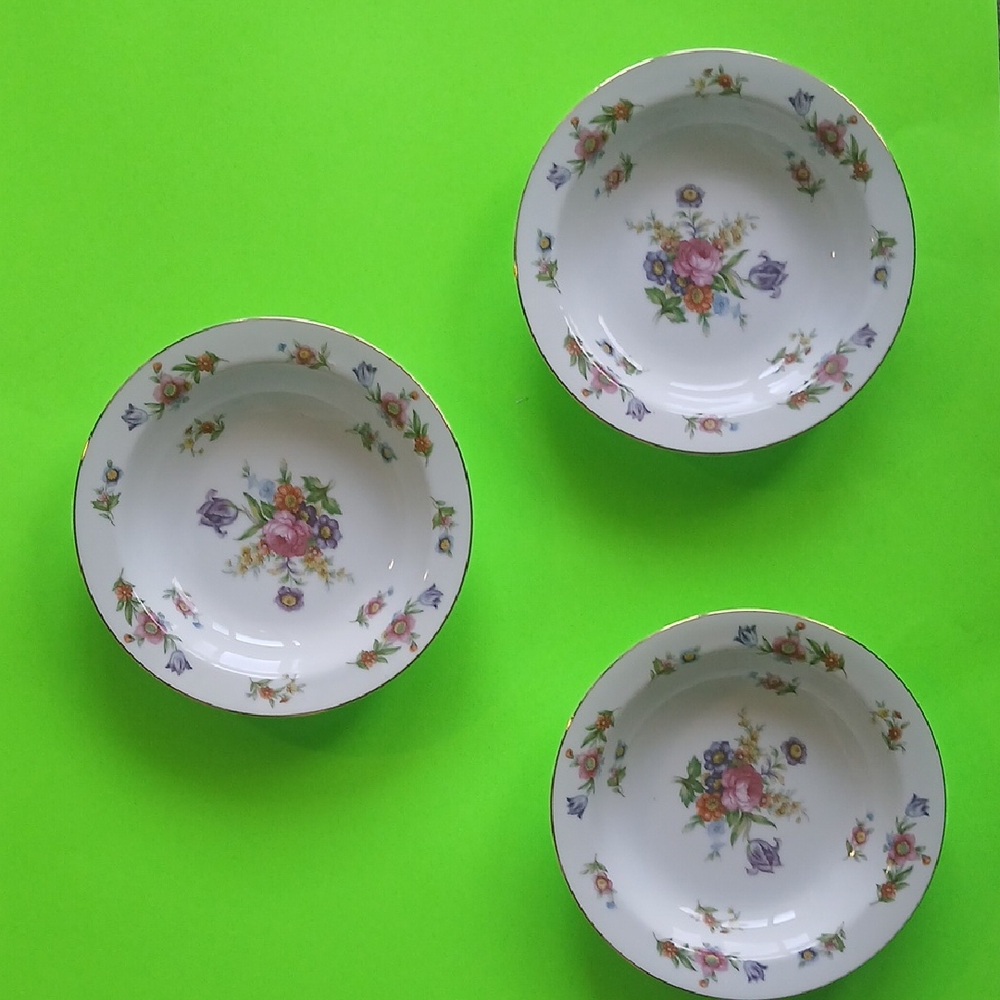 Floral Porcelain Dinner Plates